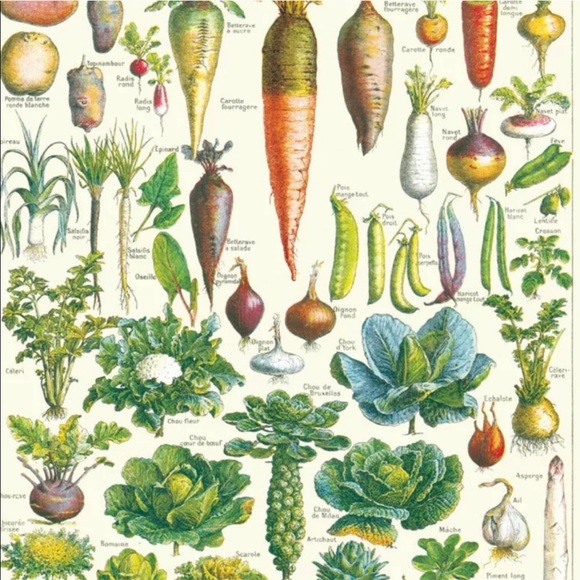 🥕 Cavallini & Co. Le Jardin Vintage Image Decorative Chart, 20"x28" - New - Picture 4 of 5